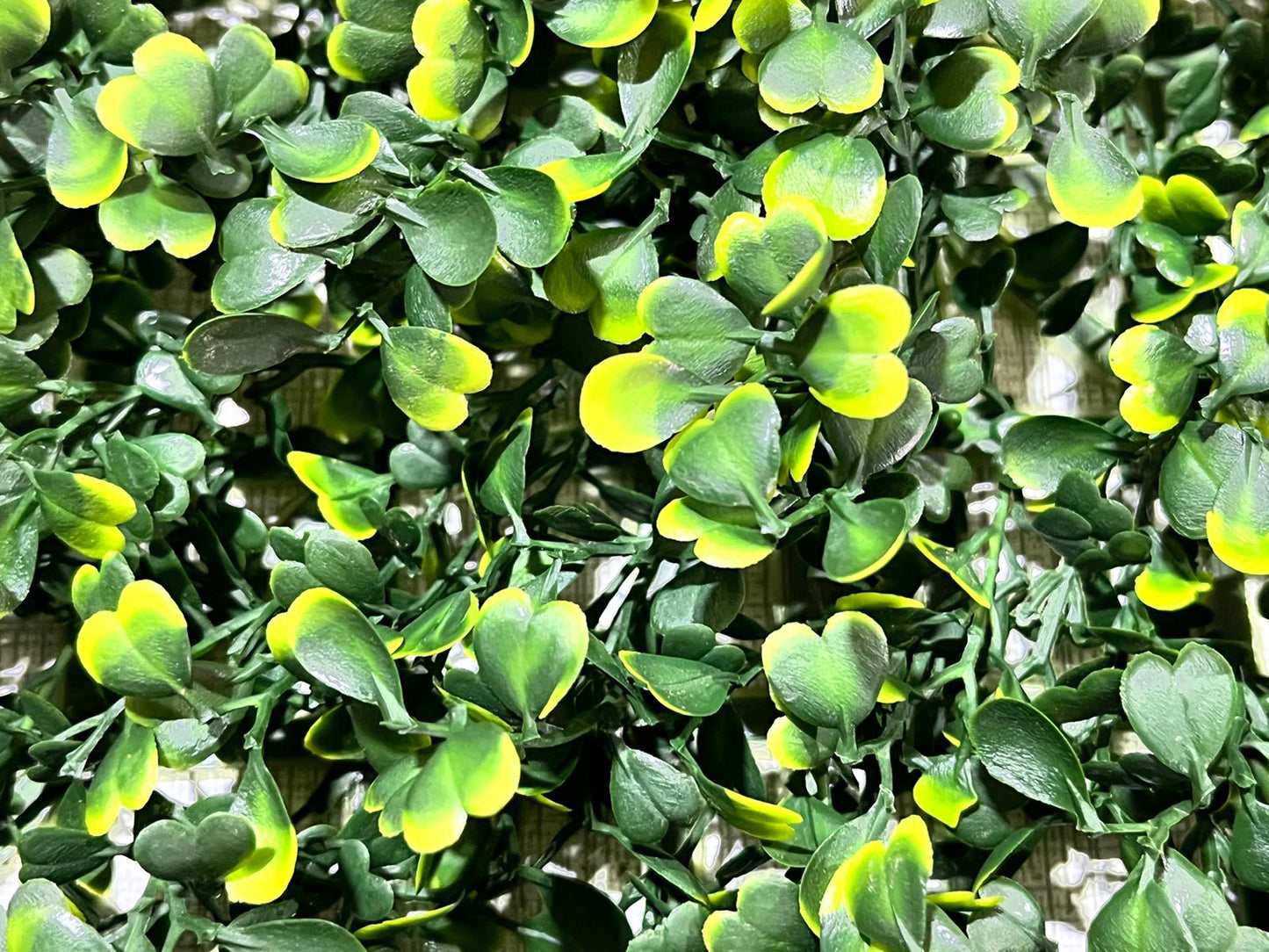 ZIELONA ŚCIANA Sztuczny żywopłot na balkon ogród ścianę