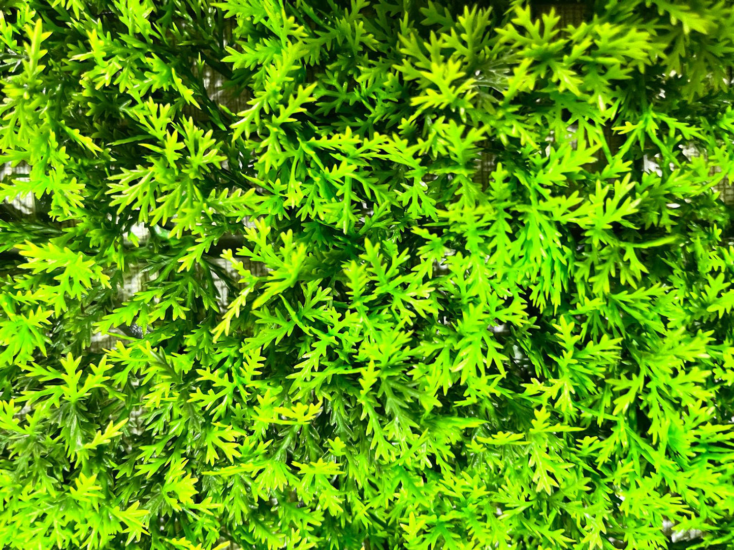 ZIELONA ŚCIANA Sztuczny żywopłot na balkon ogród ścianę