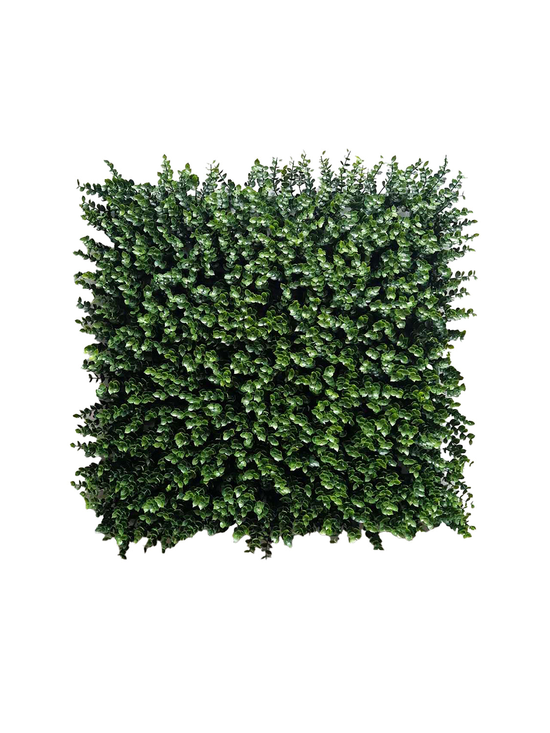 ZIELONA ŚCIANA Sztuczny żywopłot na balkon ogród ścianę